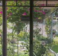 Busselton Marina Bed and Breakfast - Palm Beach Accommodation
