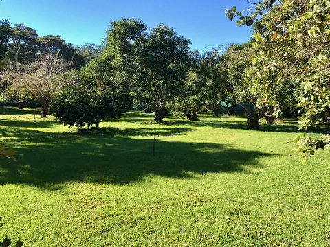 Camelot Cottages - Palm Beach Accommodation 2