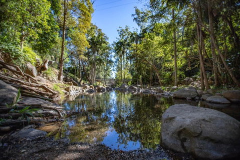 Cedar Creek Lodges - Palm Beach Accommodation 0