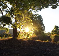 Clarendon Forest Retreat - Palm Beach Accommodation