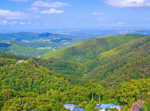 CLOUD 9 - Cliff Top Eagle Heights - Palm Beach Accommodation 2