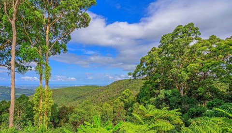 CLOUD 9 - Cliff Top Eagle Heights - Palm Beach Accommodation 3