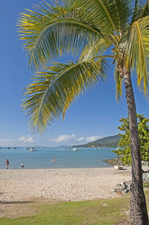 Colonial Court Beachfront Motel & Holiday Stay - Palm Beach Accommodation 3