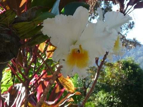Coral Sea Views - Palm Beach Accommodation 2