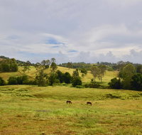 Country Breeze Farm Stay - Palm Beach Accommodation
