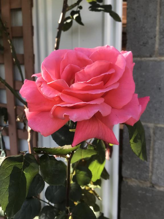 Palm Beach Accommodation