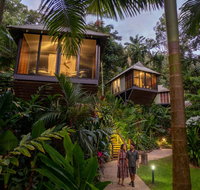 Daintree Ecolodge - Palm Beach Accommodation