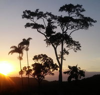 Daintree Holiday Homes - Yurara - Palm Beach Accommodation