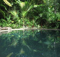 Daintree Rainforest Retreat Motel - Palm Beach Accommodation