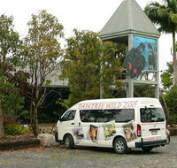 Daintree Wild Bed  Breakfast - Palm Beach Accommodation