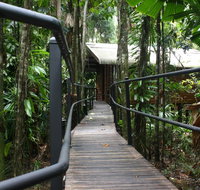 Daintree Wilderness Lodge - Palm Beach Accommodation