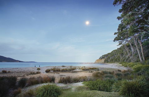 Depot Beach Cabins - Palm Beach Accommodation 1