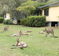 Depot Beach Cabins - Palm Beach Accommodation