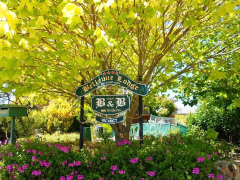 Eden Bed & Breakfast - Palm Beach Accommodation 0
