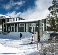 Elk at Falls - Palm Beach Accommodation