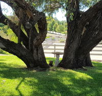 Farm Stay Studio - Palm Beach Accommodation