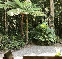 Forest Views Daintree - Palm Beach Accommodation