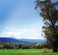 Fourjay Farmstay - Palm Beach Accommodation