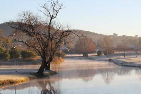 FROGGIES HOLIDAY HOUSE - Palm Beach Accommodation 1