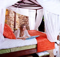 Gaiananda Treehouse - Palm Beach Accommodation