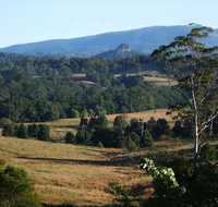 Grey Gum Lodge - Palm Beach Accommodation
