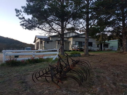 Happy Pig Farm - Palm Beach Accommodation 2