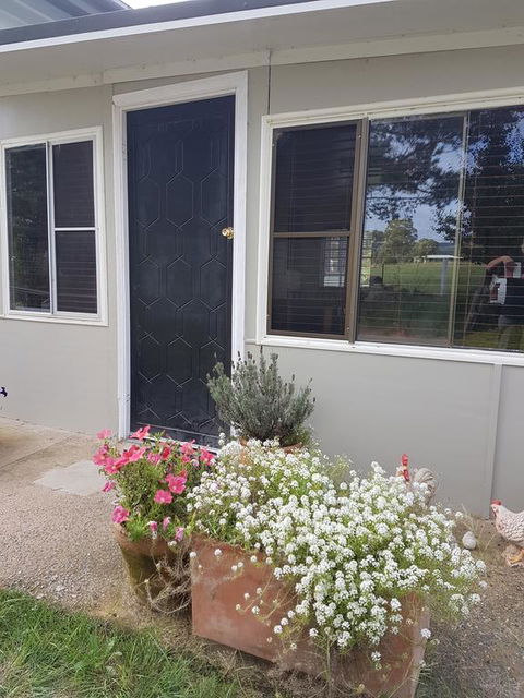Happy Pig Farm - Palm Beach Accommodation 3