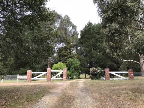 Helen's Luxury Hut - Palm Beach Accommodation 3