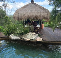 Hinterland Hideaway - Palm Beach Accommodation