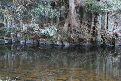 Kaalba - Palm Beach Accommodation 1