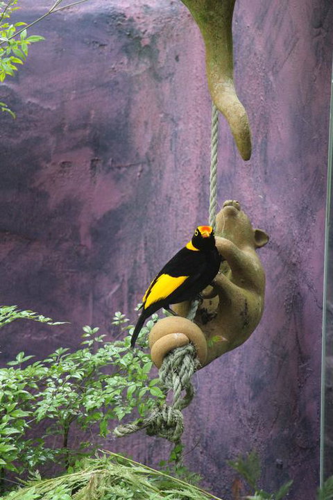 Kaalba - Palm Beach Accommodation 3