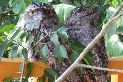 Karma Cottage - Palm Beach Accommodation 0