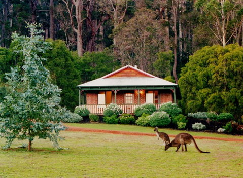 Karri Valley Chalets - Palm Beach Accommodation 0