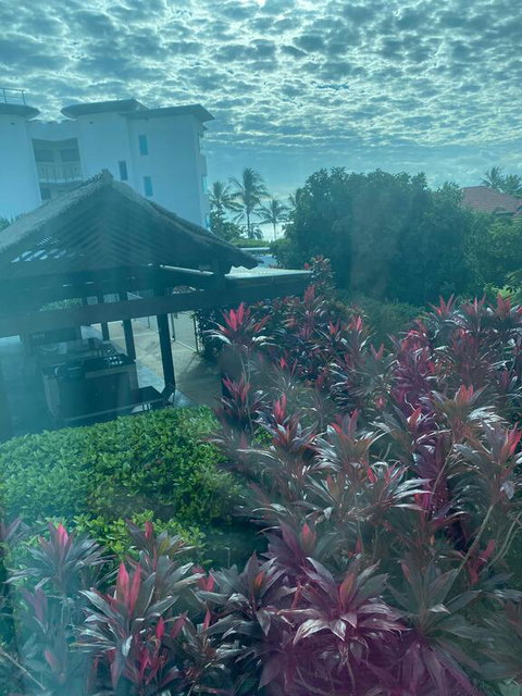 Luxury Apartment, Perfect Location - Palm Beach Accommodation 3