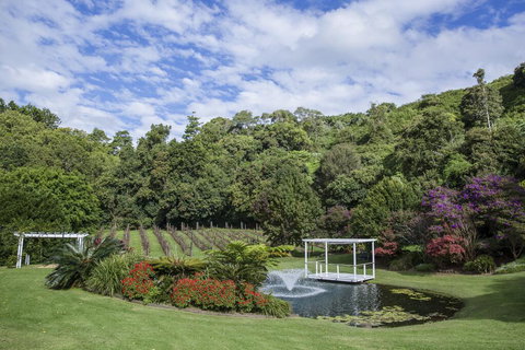 Maleny Manor - Palm Beach Accommodation 2