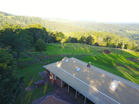 Maleny Orchard - Palm Beach Accommodation 3