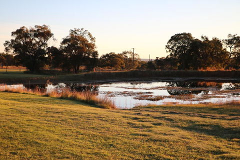 Maric Park Cottages - Palm Beach Accommodation 2