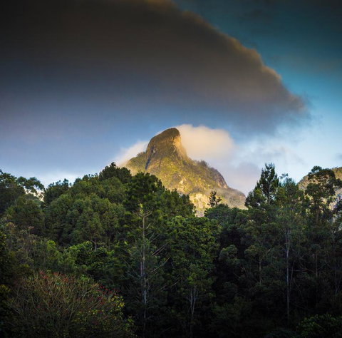 Mavis's Cabins @ Mt Warning - Palm Beach Accommodation 1