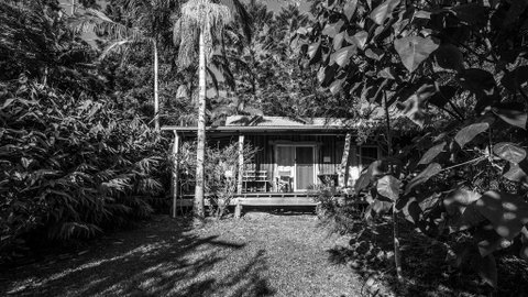 Mavis's Cabins @ Mt Warning - Palm Beach Accommodation 2