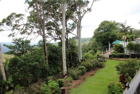 Mt Tamborine Motel - Palm Beach Accommodation 2