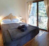Mt Warning Rainforest Park - Palm Beach Accommodation