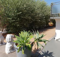 Mt.Lawley superb 2 BR Apartment Ideally located 5 - Palm Beach Accommodation
