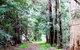 Treenbrook Cottages - thumb 12