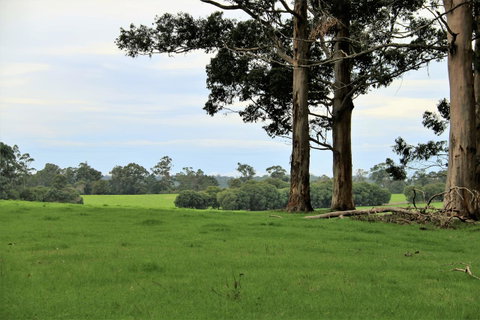 Treenbrook Cottages - Palm Beach Accommodation 11
