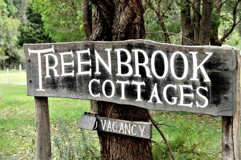 Treenbrook Cottages - Palm Beach Accommodation 3