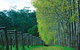 Hawke Brook Chalets - thumb 12