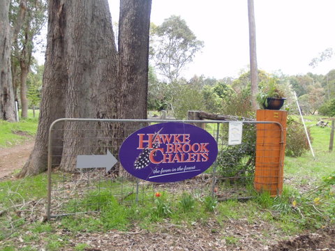 Hawke Brook Chalets - Palm Beach Accommodation 10