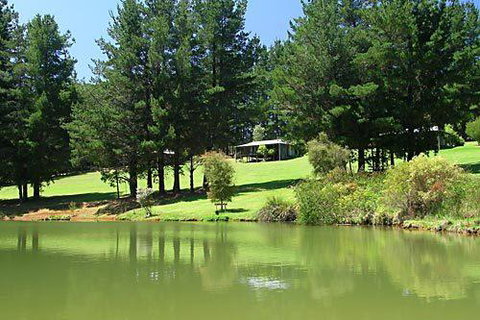 Hawke Brook Chalets - Palm Beach Accommodation 2