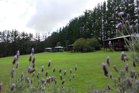 Hawke Brook Chalets - Palm Beach Accommodation 1