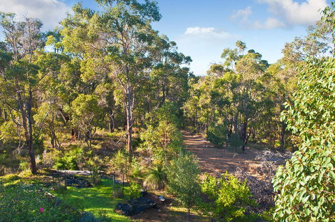 A Hidden Bush Delight - Palm Beach Accommodation 30